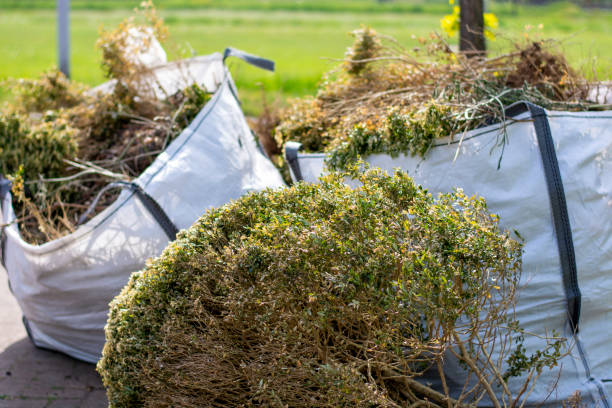 Best Recycling Services for Junk  in Wiggins, CO